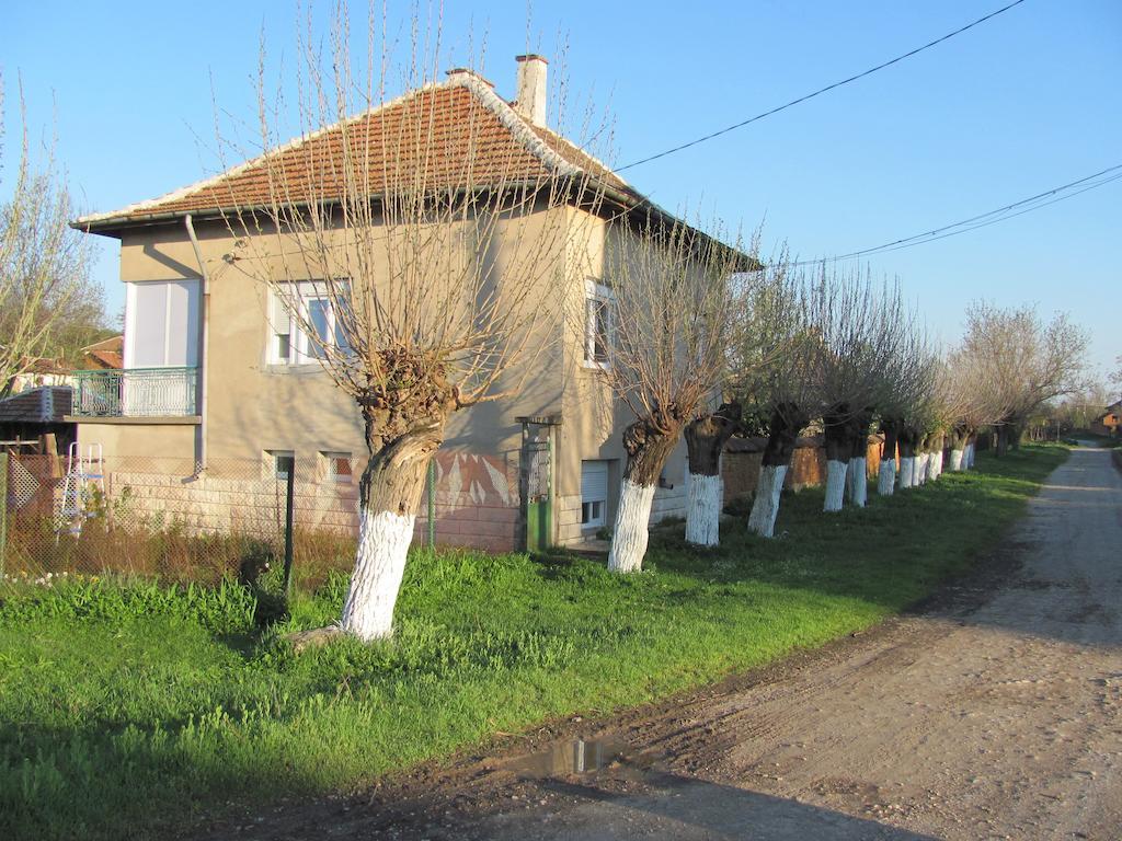 Rogozen B&B Экстерьер фото