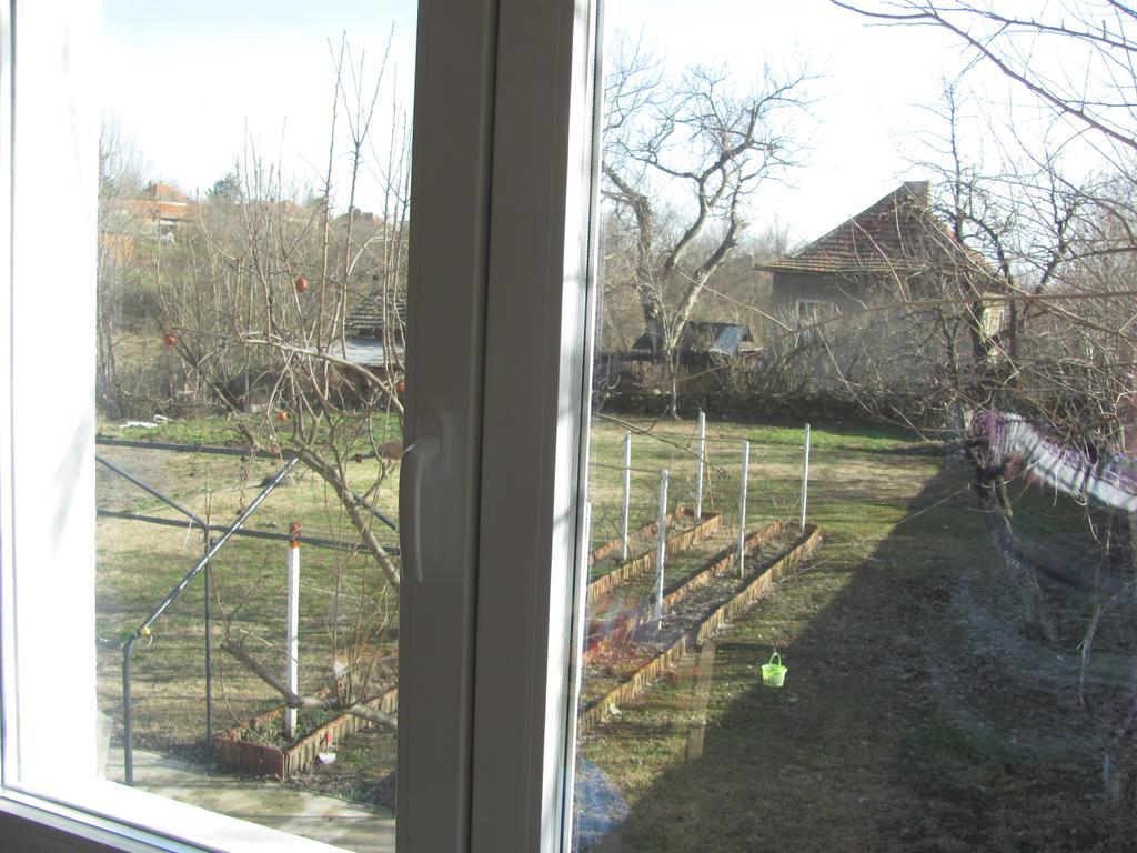 Rogozen B&B Экстерьер фото
