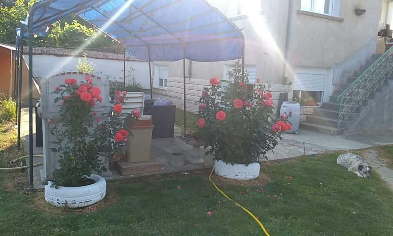 Rogozen B&B Экстерьер фото